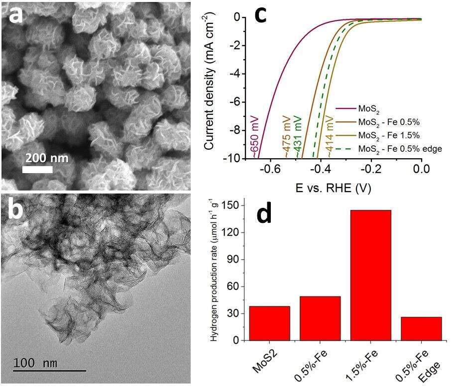 Fe-doping in MoS2 improves both the electrocatalytic and the photocatalytic performance